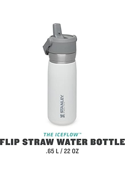 Luxury Go Iceflow Pipetli Paslanmaz Çelik Soğuk Su Termosu 0.65 Lt 1 Adet