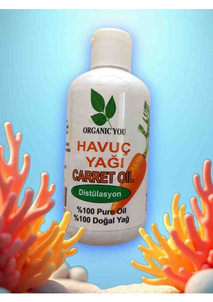 Havuç Yağı Carret Oil Doğal Distilasyon 150 ml
