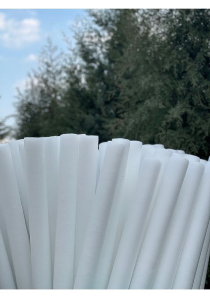 Luxury 5 Adet Beyaz Renk Deniz ve Havuz Yüzme Makarnası, Köpük Sosis 1 Adet