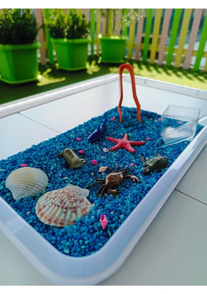 Luxury Okyanus Hayvanları Temalı Duyusal Oyun Seti (2-5 Yaş) - Montessori Oyuncak 1 Adet