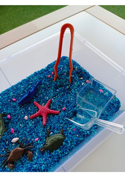 Luxury Okyanus Hayvanları Temalı Duyusal Oyun Seti (2-5 Yaş) - Montessori Oyuncak 1 Adet
