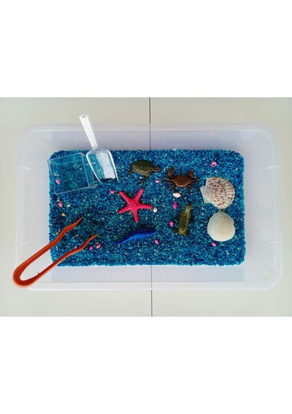 Luxury Okyanus Hayvanları Temalı Duyusal Oyun Seti (2-5 Yaş) - Montessori Oyuncak 1 Adet