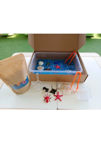 Luxury Okyanus Hayvanları Temalı Duyusal Oyun Seti (2-5 Yaş) - Montessori Oyuncak 1 Adet