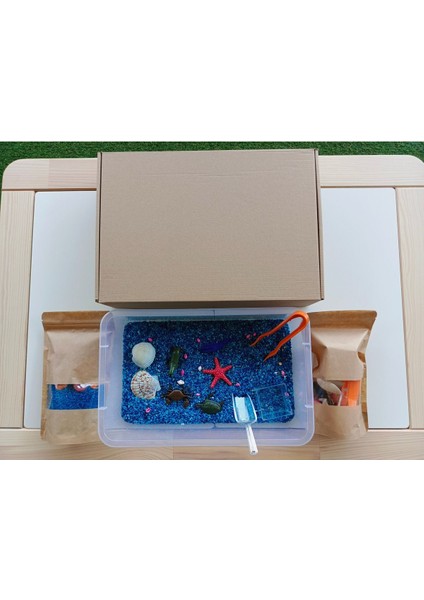 Luxury Okyanus Hayvanları Temalı Duyusal Oyun Seti (2-5 Yaş) - Montessori Oyuncak 1 Adet