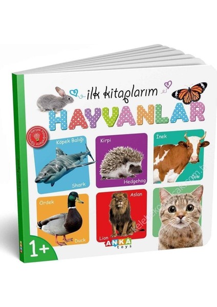 Luxury Ilk Kitaplarım Serisi Eğitici 6lı Set 1 Adet