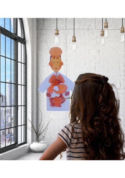 Luxury Insan Vücudu Oyuncak - Okul Öncesi Eğitici Puzzle Iç Organlarımız Seti 1 Adet