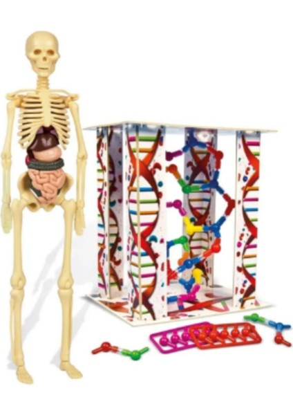 Luxury 64297 Ilk Keşiflerim Insan Anatomisi 1 Adet fiyatları