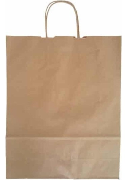 Luxury Kağıt Çanta Hediye ve Alışveriş Çantası 25'li (25X31X12CM) 1 Adet