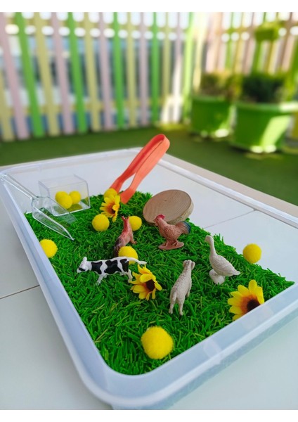 Luxury Çiftlik Hayvanları Temalı Duyusal Oyun Seti (2-5 Yaş) - Montessori Oyuncak 1 Adet