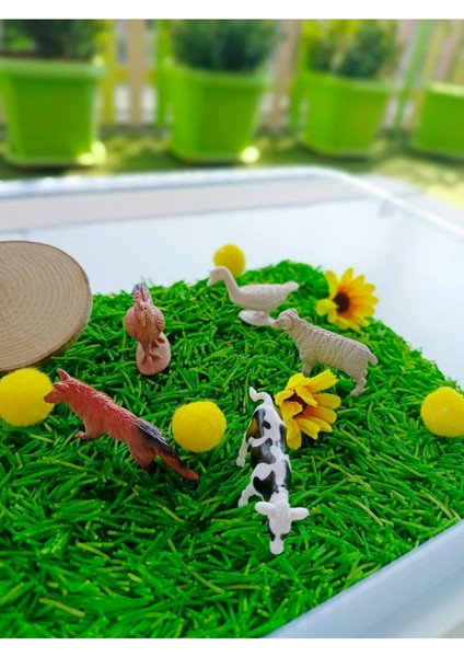 Luxury Çiftlik Hayvanları Temalı Duyusal Oyun Seti (2-5 Yaş) - Montessori Oyuncak 1 Adet
