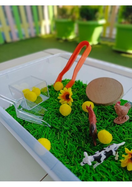 Luxury Çiftlik Hayvanları Temalı Duyusal Oyun Seti (2-5 Yaş) - Montessori Oyuncak 1 Adet