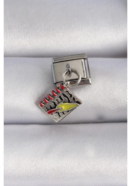 316L Çelik Gümüş Renk Sallantı Defter Figür Nomination Charm - TJ-BC1055