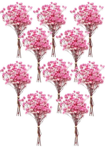 10LU Set Kuru Çiçek Doğal Pembe Koyu Cipso Şoklanmış Bozulmaz