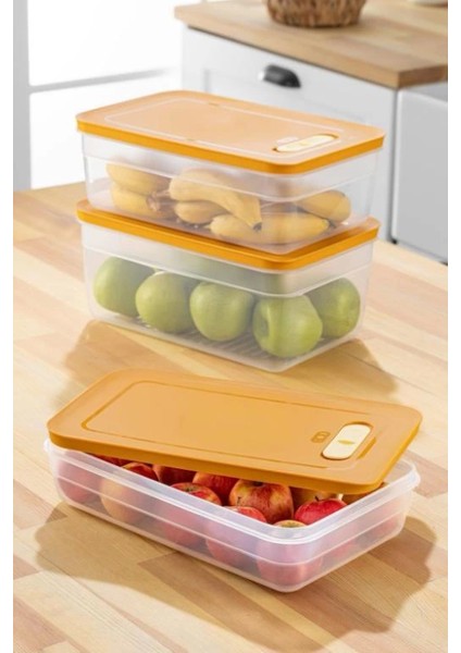 Tupper Model - Vakumlu - Mikrodalga Buzluk Saklama Kabı 3,8lt (7272)