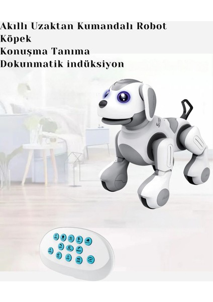 Luxury Oyuncak Sesli ve Işıklı Smart Dog Uzaktan Kumandalı Şarjlı Interaktif Akıllı Sevimli Robot Köpek 1 Adet