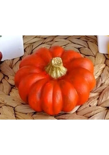 7 cm Kabak Silikon Kalıp K-858 indirimleri