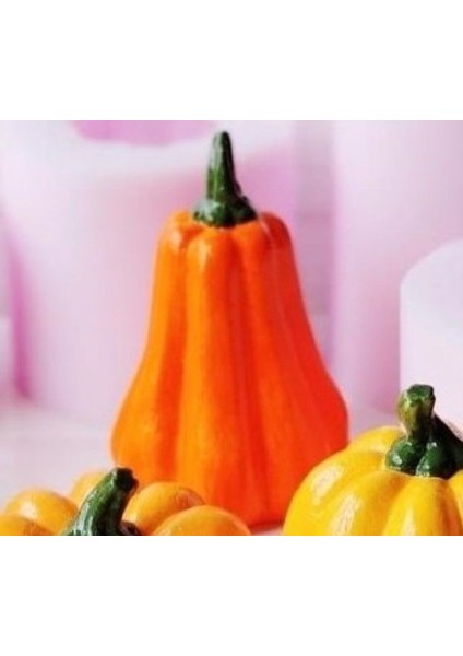 9 cm Kabak Silikon Kalıp K 861