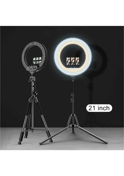 Ring Light-21 LED Rl-21 Inç 220V Girişli 3 Adet Telefon Tutacaklı Uzaktan Kumandalı Selfi Işığı modelleri