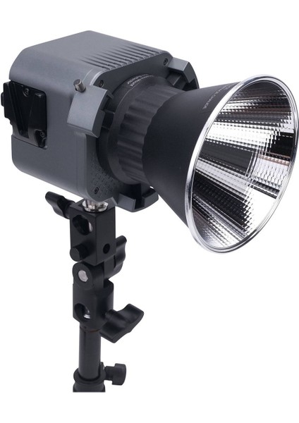 Amaran 60X S Bi-Color LED Video Işığı