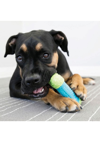Core Strength Köpek Çiğneme Oyuncağı 7cm