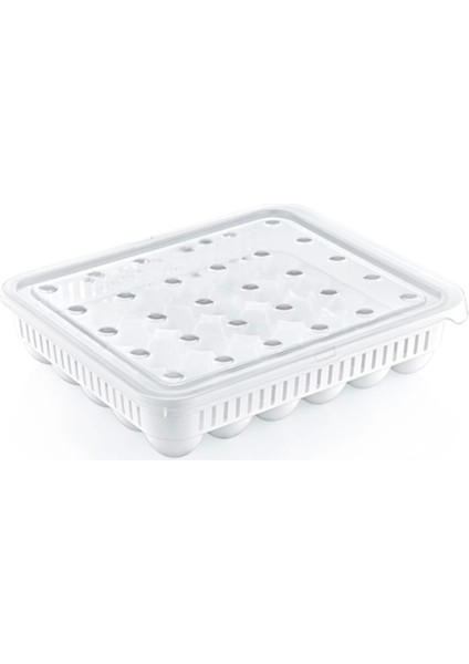 30LU Yumurta Saklama Kabı