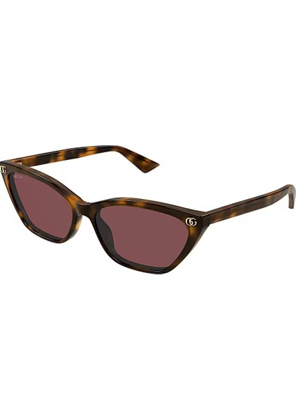 Guccı 1815S 002 52-20 Kadın Havana Güneş Gözlüğü