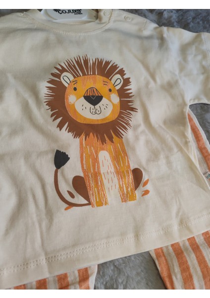 Aslan Desenli Çizgili Pantolonlu 6-9/9-12/12-18/18-24 Ay Erkek Bebek Takım fiyatları