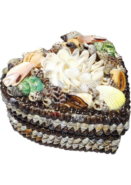 Deniz Kabuğu Kutu 15 x 15 x 7 cm .