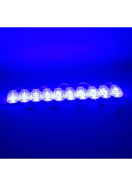 12V 0.6W Mavi 2835 65X25 mm IP65 120LM 160 Derece Modül LED (4887)