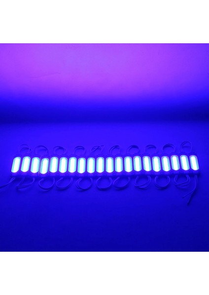 12 Volt 2 Watt Mavi Modül LED 68X16 mm (4887)