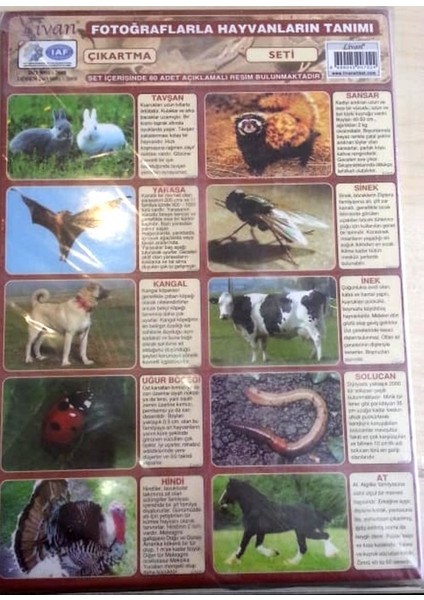 Hayvanlı Çıkartma Seti - 6 Adet