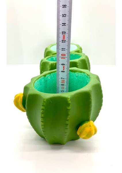 Kaktüs Biblo Saksı Dekoratif 3'lü Set fiyatları