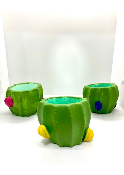 Kaktüs Biblo Saksı Dekoratif 3'lü Set modelleri