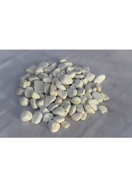5KG BEYAZ Dolomit Taşı 1-2cm Bahçe Süs Taşı Akvaryum Süs Taşı Teraryum Süs Taşı Dekoratif Taş