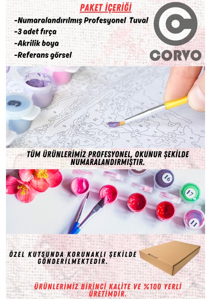 Sayılarla Boyama Seti Kasnaklı Boyalar ve Fırçalar Dahil 40X5CM Çöl Deve