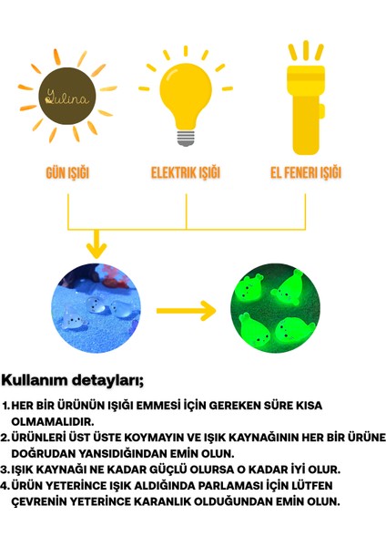 2'li Karanlıkta Parlayan Minik Fok Balıkları Figürleri