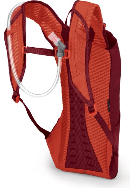 Kitsuma 3 Kadın Bisiklet Su Taşıma Çantası Claret Kırmızı, 2.5l