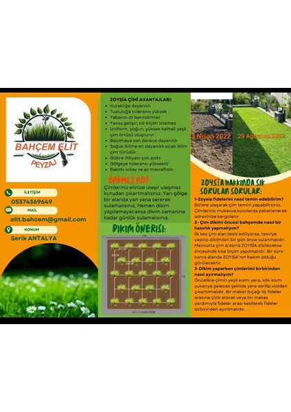 Zoysia Japonica Çim Fidesi 21 M2 Için 336 Adet 84'lük Viol (4 viol)