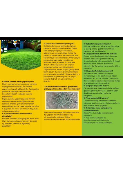 Zoysia Japonica Çim Fidesi 21 M2 Için 336 Adet 84'lük Viol (4 viol)