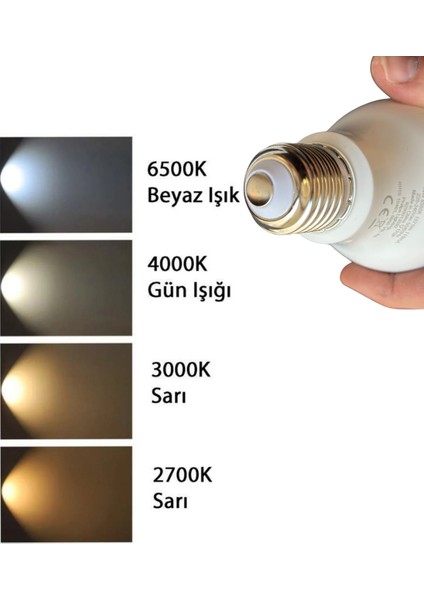 (12 Adet) Philips 14W (100W) Beyaz IŞIK E27 DUYLU (Kalın Duy) LED Ampul