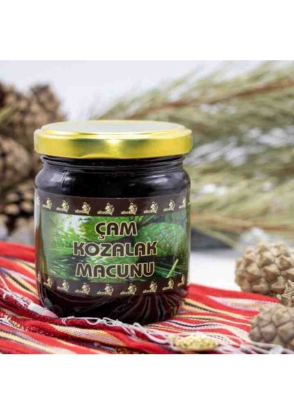 Kozalak Macunu