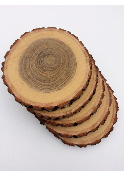 10 Adet Ahşap Meşe ve Çam Odun Dilimi Doğal Bardak Altlığı ve Okul Etkinlik ve Mumluk Çap: 6-10 cm