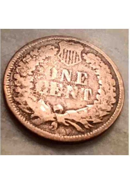 Abd 1883 Yılı Kızılderili 1 Cent Temiz Çap: 19 mm