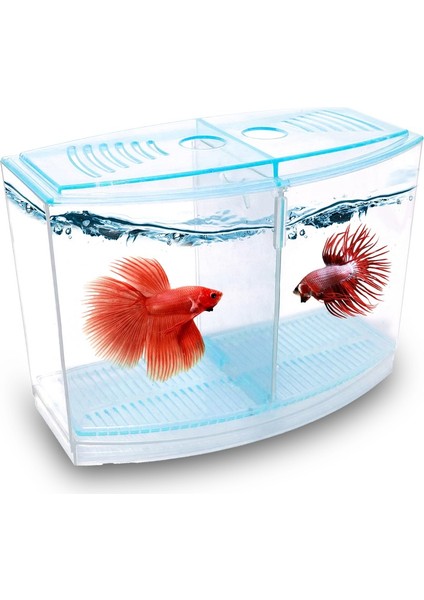 Betalık 9X19X14CM 1800 ml Beta Tank