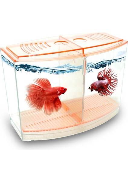 Betalık 9X19X14CM 1800 ml Beta Tank fiyatları