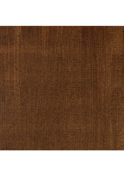 Professional Akrilik Mürekkep 30ML Transparent Burnt Umber 130