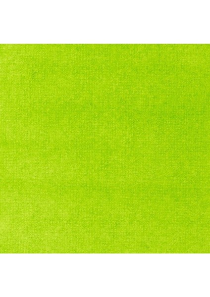 Professional Akrilik Mürekkep 30ML Vivid Lime Green 740