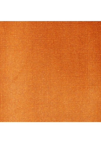 Professional Akrilik Mürekkep 30ML Transparent Burnt Sienna 129