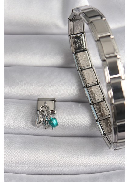 316L Çelik Gümüş Renk Yeşil Kaplumbağa Model Nomination Charm fiyatları