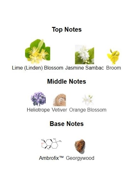 Talia(Tilia - Marc-Antoine Barrois) Yasemin, Vetiver Ve Ihlamur Çiçeği Unisex Koku fırsatları